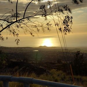 Meet your Posher, Shontell